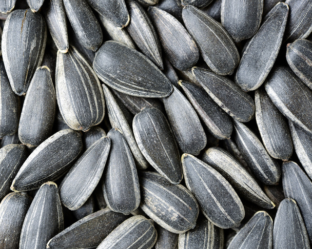 Sunflower seeds closeup - Foto, Imagem