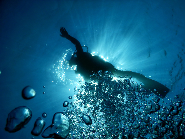 Diving in the crystal clear water of Mediterranean  - Фото, зображення