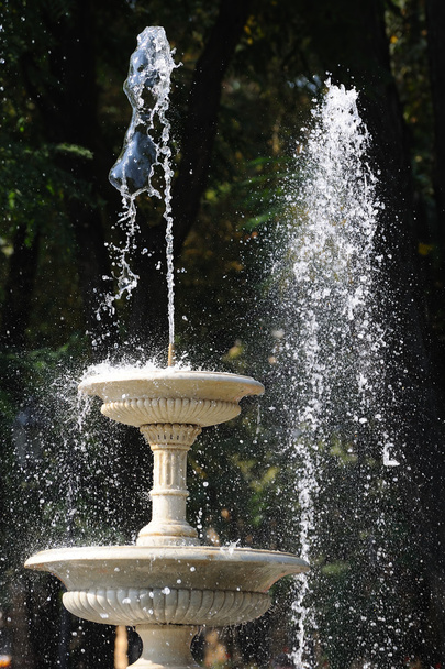 Brunnen im Stadtpark - Foto, Bild