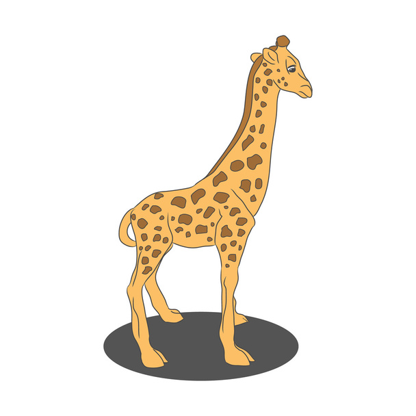 Cute baby giraffe - Διάνυσμα, εικόνα