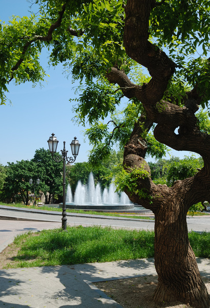 City park with a fountain - Foto, afbeelding