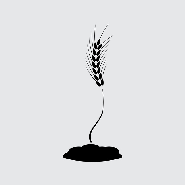wheat ears symbol vector - Vector, Image
