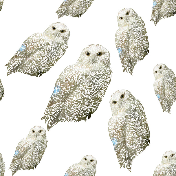 Hand drawn snowy owl pattern - Vector, Imagen