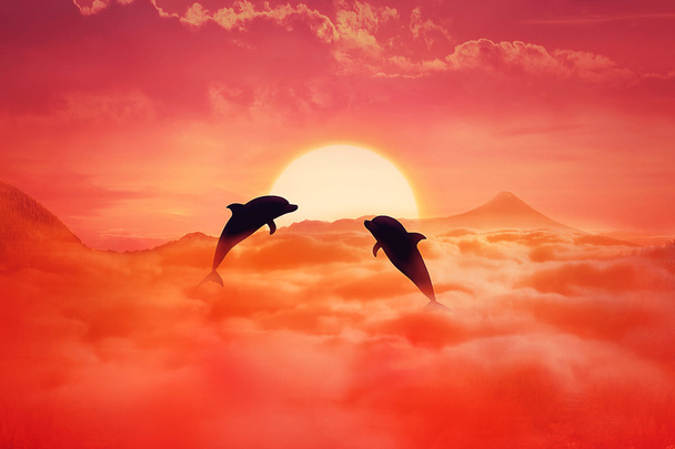delfines voladores puesta del sol
 - Foto, Imagen