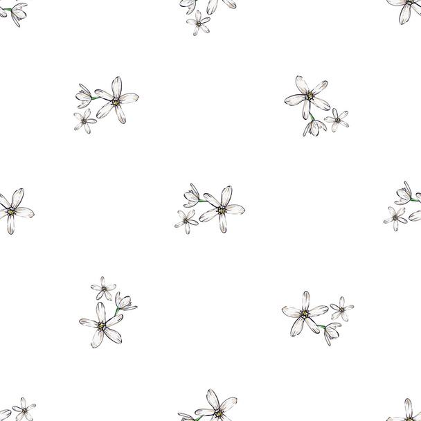 hand drawn white flowers pattern - Vecteur, image