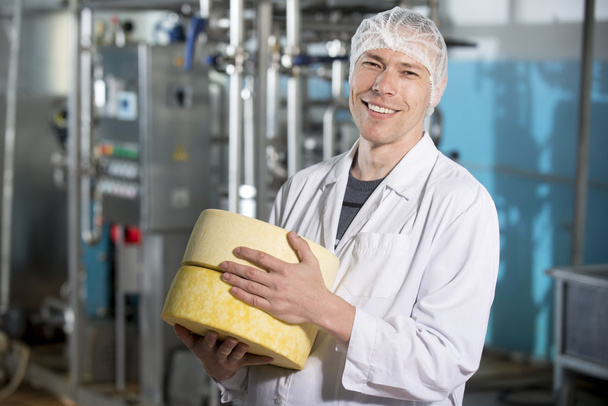 Виробництво сиру на заводі
 - Фото, зображення