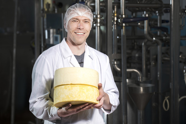 Produkcja serów w fabryce - Zdjęcie, obraz