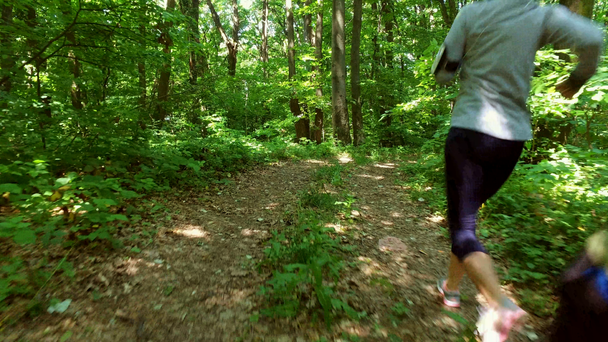 森林でのジョギングを実行しています。女性トレーニング、実行している、ジョギング、フィットネス、ランナー-4 k 映像 - 映像、動画