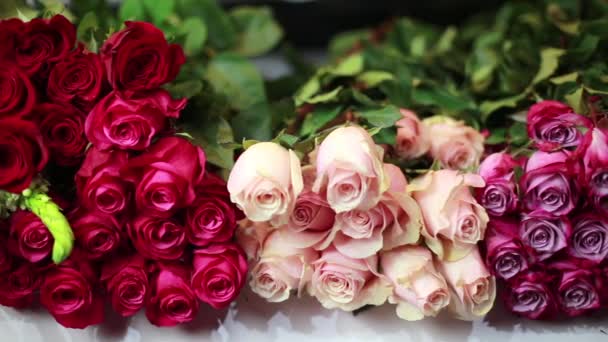 Γυναικεία χέρια έχουν λάβει ένα ροζ τριαντάφυλλα στο η βιτρίνα. - Πλάνα, βίντεο