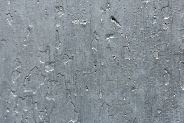 Texture of an old wood - Zdjęcie, obraz