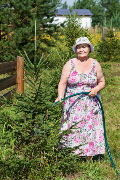 Pension age Caucasian woman watering trees at country residence - Valokuva, kuva