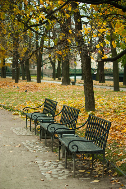 Βάθος το φθινόπωρο στο πάρκο, δέντρα και κίτρινα φύλλα - Φωτογραφία, εικόνα
