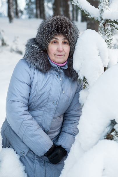 Caucasian woman looking at camera while standing in wintry forest near pine tree - Foto, immagini