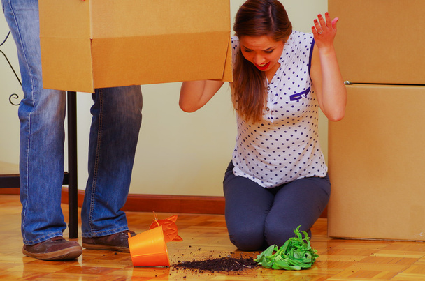 Człowiek przewożący kartonowe pudełko, które ma złamane dno, kobieta siedzi histerycznie zdenerwowany, rozbił roślin na podłodze, poruszając się w koncepcji - Zdjęcie, obraz