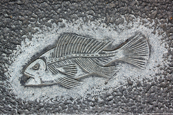 Fish carve - Foto, imagen