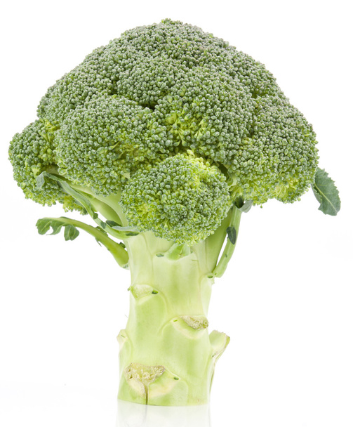 broccoli isolated on white background - Foto, afbeelding
