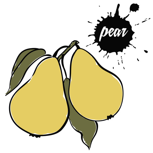 fruit ripe pear - Vector, Image