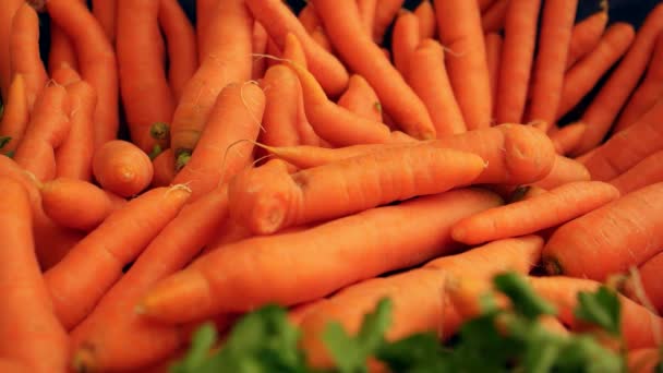 Φρέσκα καρότα στην αγορά - Πλάνα, βίντεο