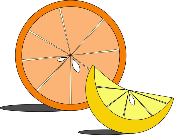 Illusztráció: citrus szeletek - Vektor, kép