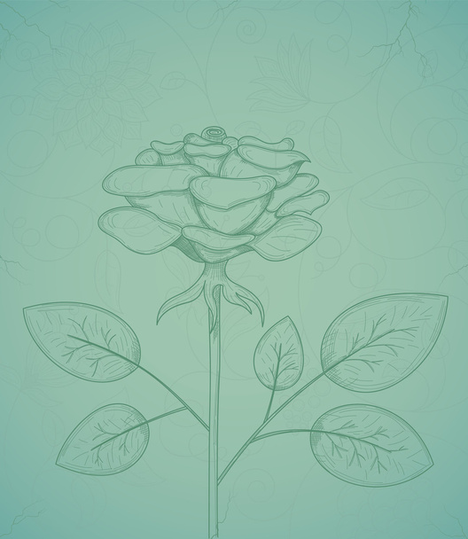 Rose background - Vector, afbeelding