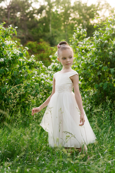 bella bambina in un vestito bianco in posa sull'erba
  - Foto, immagini