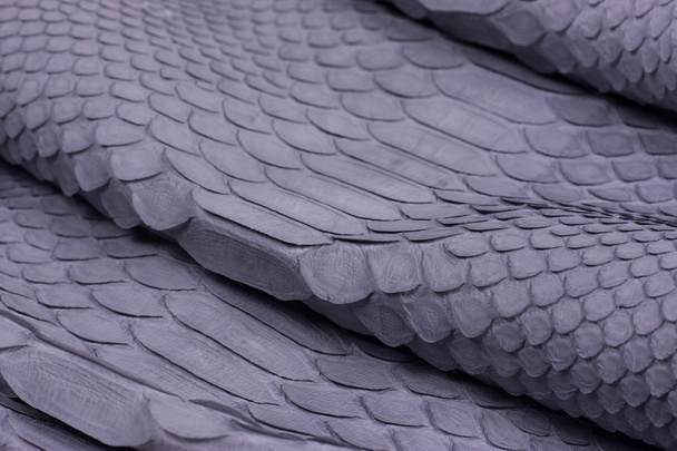Python snakeskin leather background, snake skin, texture, animal, reptile - Photo, Image