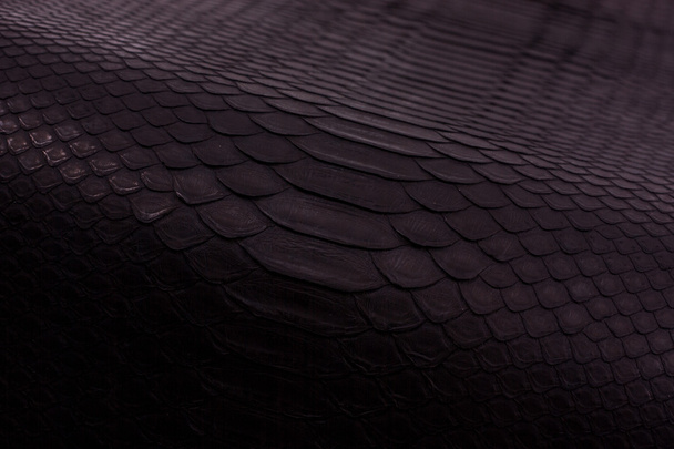 Python peau de serpent fond en cuir, peau de serpent, texture, animal, reptile
 - Photo, image