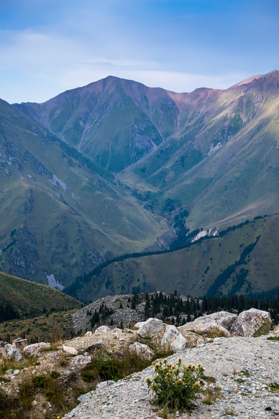 Naturaleza cerca de Big Almaty Lake, Montañas Tien Shan en Almaty, Kazajstán
 - Foto, Imagen