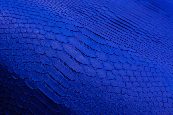 Python snakeskin leather background, snake skin, texture, animal, reptile - Photo, Image