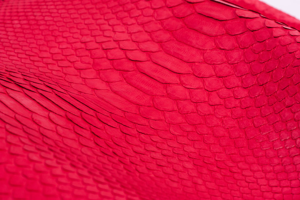 Python peau de serpent fond en cuir, peau de serpent, texture, animal, reptile
 - Photo, image