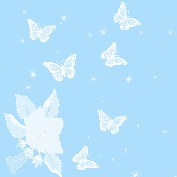 Schmetterlinge - Foto, Bild