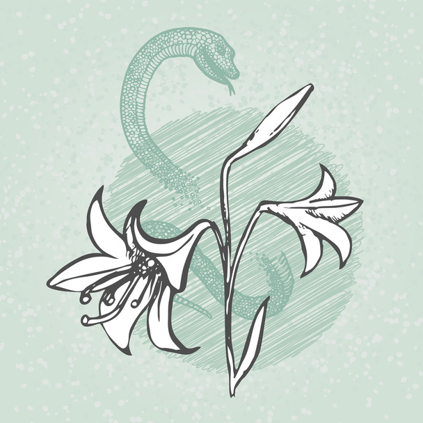 Lily and snake with bud outline sketch vector. Vintage floral illustration. - Vektori, kuva