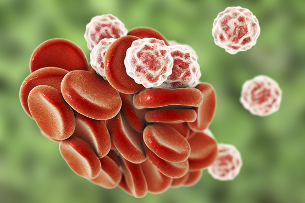 Τα κύτταρα του αίματος, 3d απεικόνιση - Φωτογραφία, εικόνα