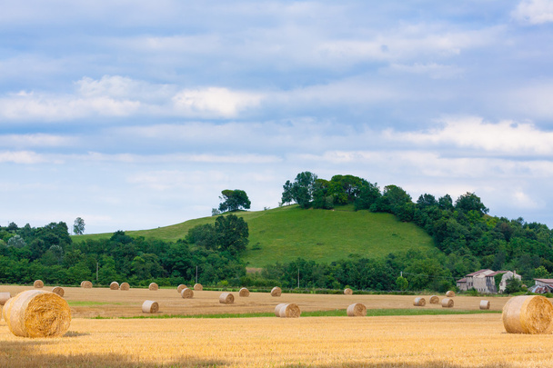 Italian maaseutu panoraama. Pyöreät paalit vehnäpellolla
 - Valokuva, kuva