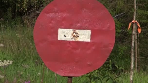 Stop-merkki metsässä
 - Materiaali, video