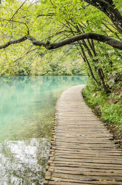 caminho de madeira e lagos no parque de lagos Plitvicka
 - Foto, Imagem