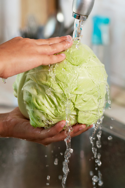 The cabbage is being washed in the water - Φωτογραφία, εικόνα