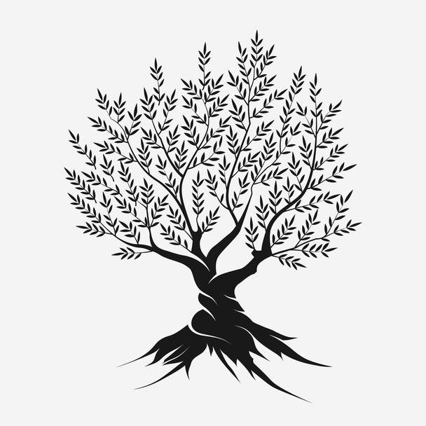 Olive tree silhouette icon - Vector, afbeelding