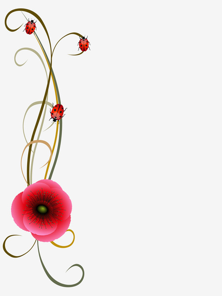 Floral background with poppy seeds and ladybugs, design element. - Vector, Image
