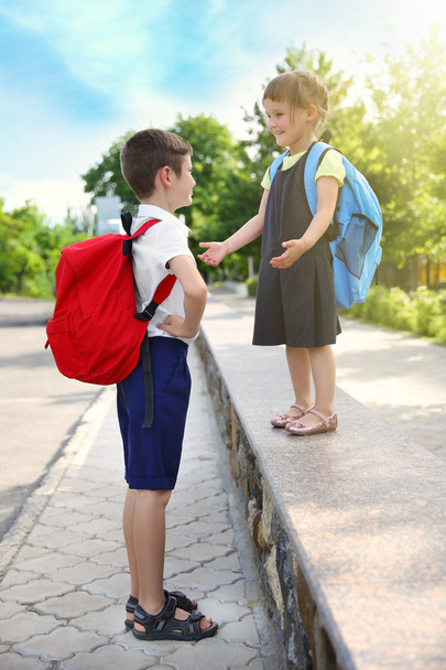 Brother taking sister to school - Photo, image