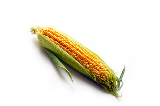 ear of ripe corn - Zdjęcie, obraz