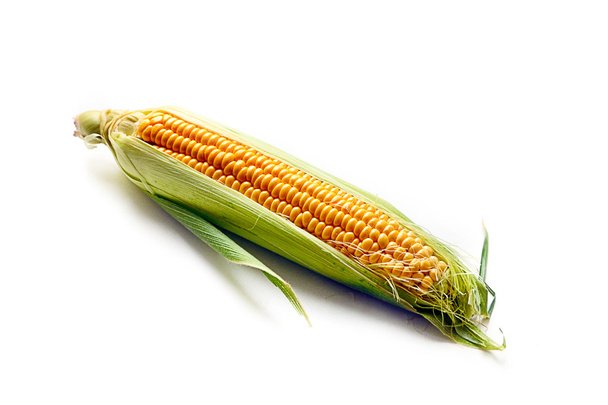 ear of ripe corn - Фото, изображение