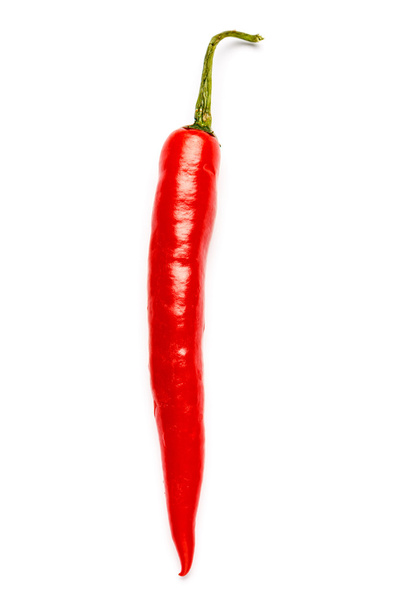 chili pepper isolated - Фото, зображення