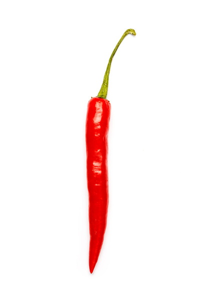 chili pepper isolated - Photo, image