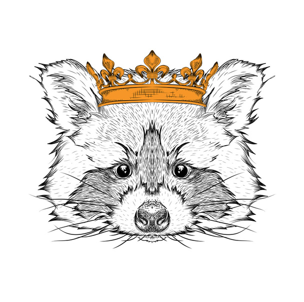 Hand draw Image Portrait raccoon  in the crown. Use for print, posters, t-shirts. Hand draw vector illustration - Вектор, зображення