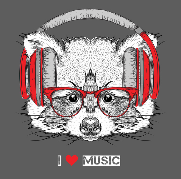 Raccoon in glasses and headphones. Vector illustration. - Вектор, зображення
