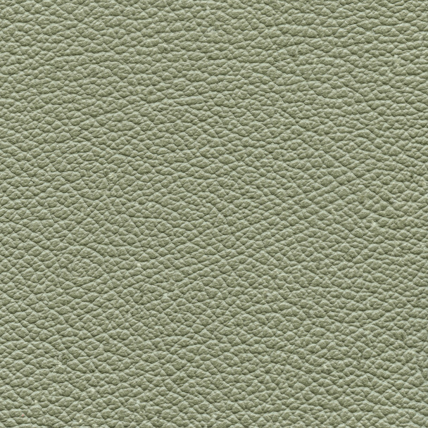 pale gray-green leather texture as background - Zdjęcie, obraz