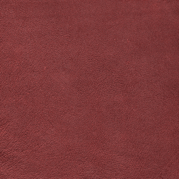 red leather texture as background  for design-works - Foto, Imagen