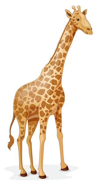 giraffe - Vector, Image
