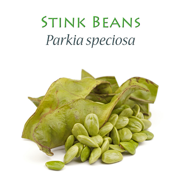 Stink Beans also known as Petai - Photo, Image